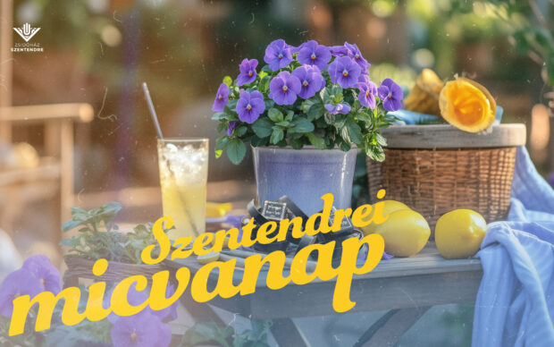 Szentendrei micvanap