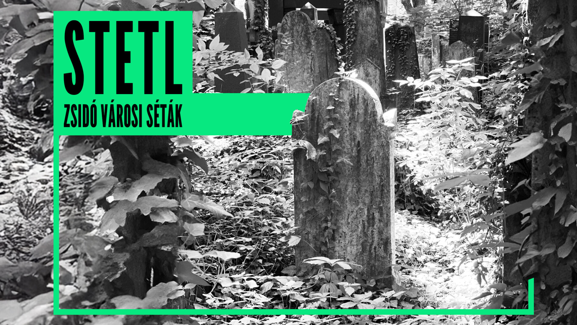 Séta a lezárt zsidó temetőben