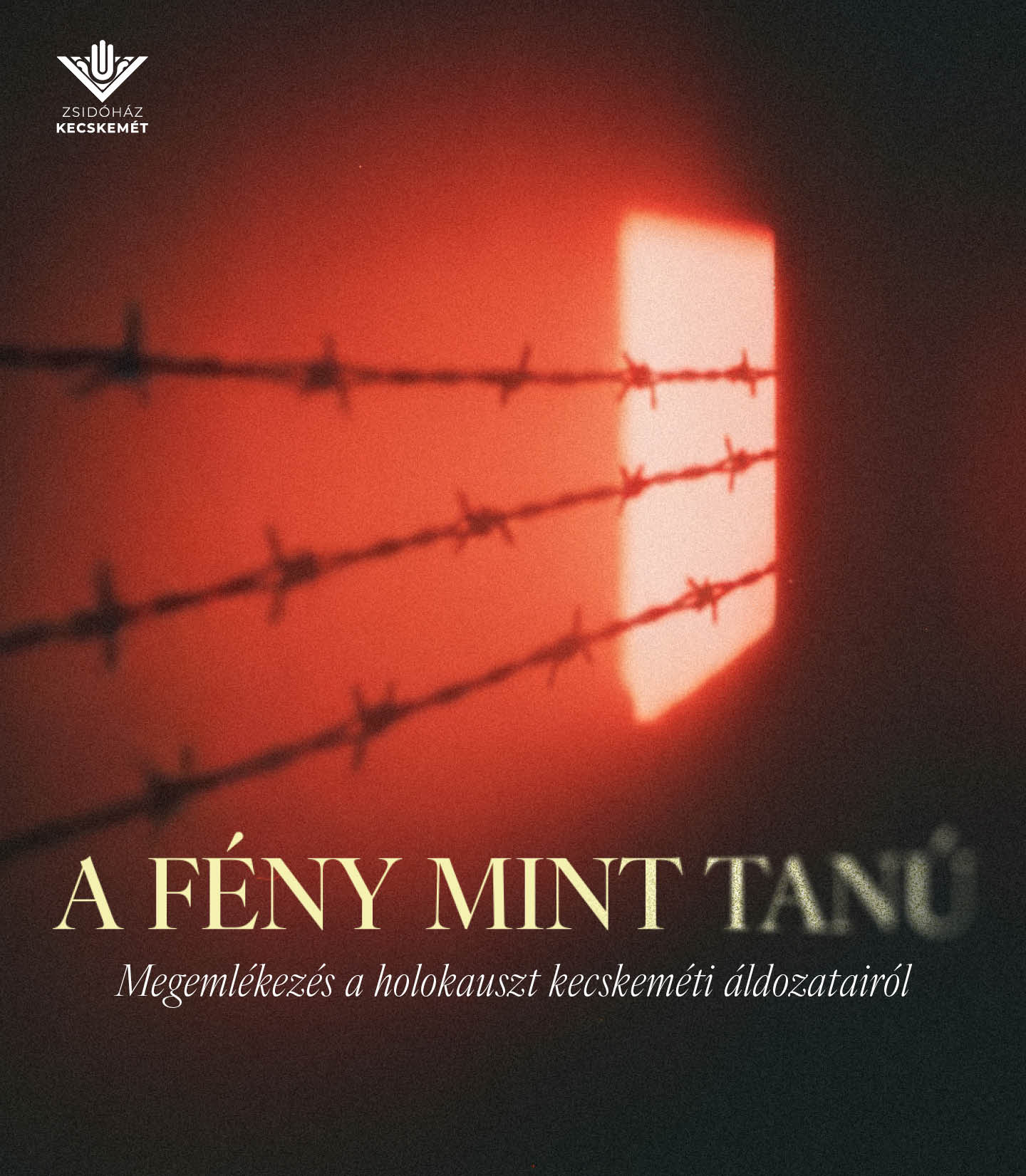 A fény mint tanú